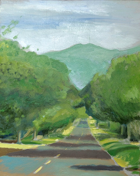The Road to San Juan